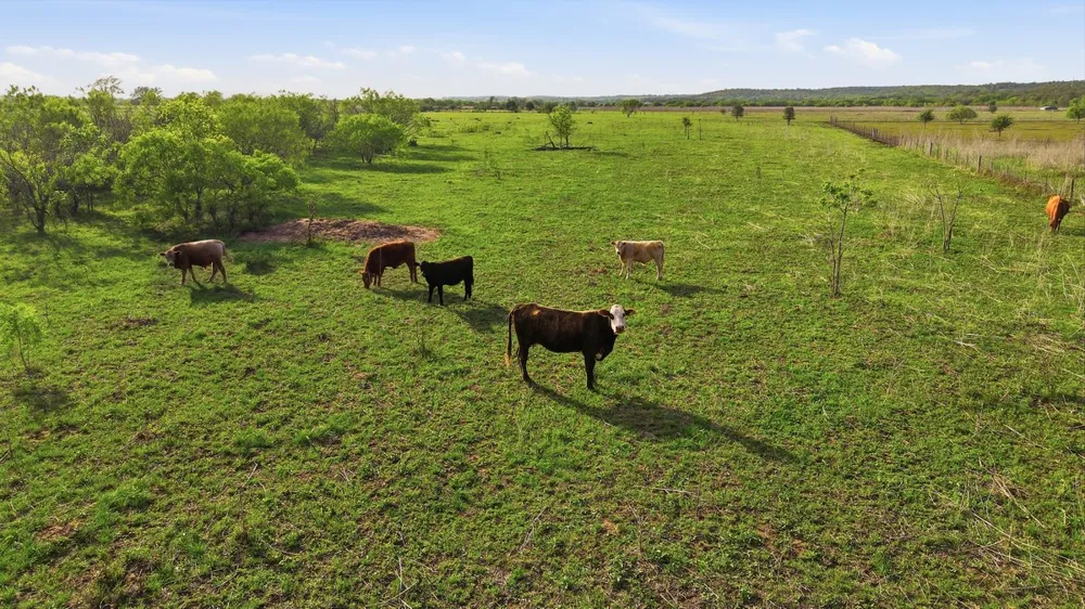 20326 Fm 969 #5 Webberville, TX 78653