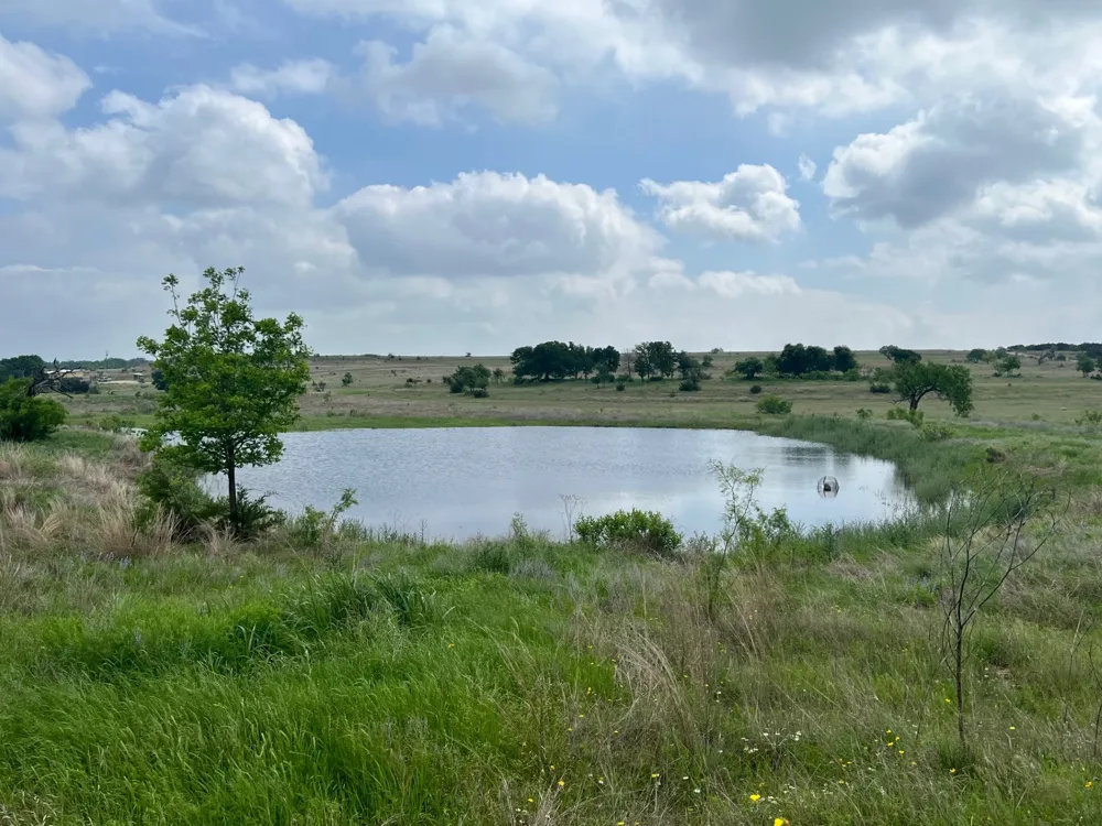 1 County Road 3300 Kempner, TX 76539