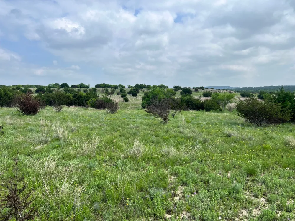 1 County Road 3300 Kempner, TX 76539