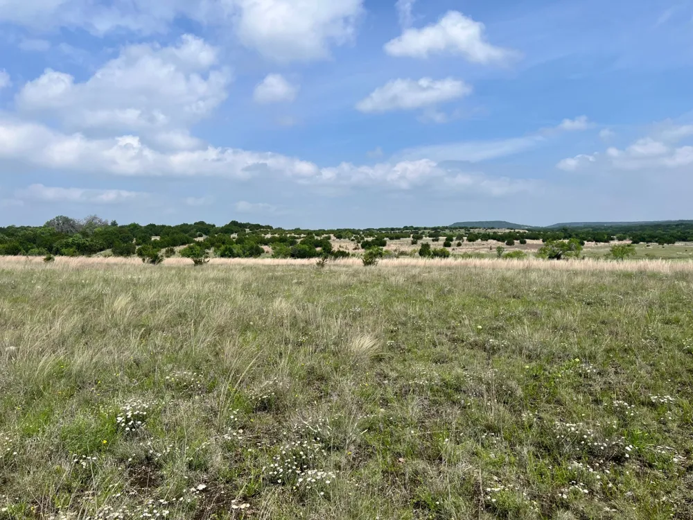 1 County Road 3300 Kempner, TX 76539