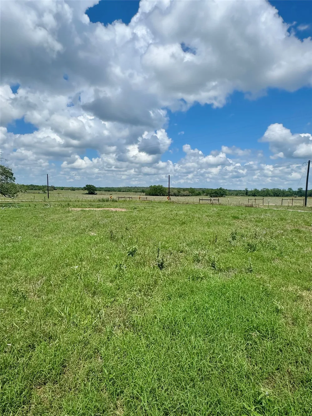 10 Cardinal Road Rosanky, TX 78953