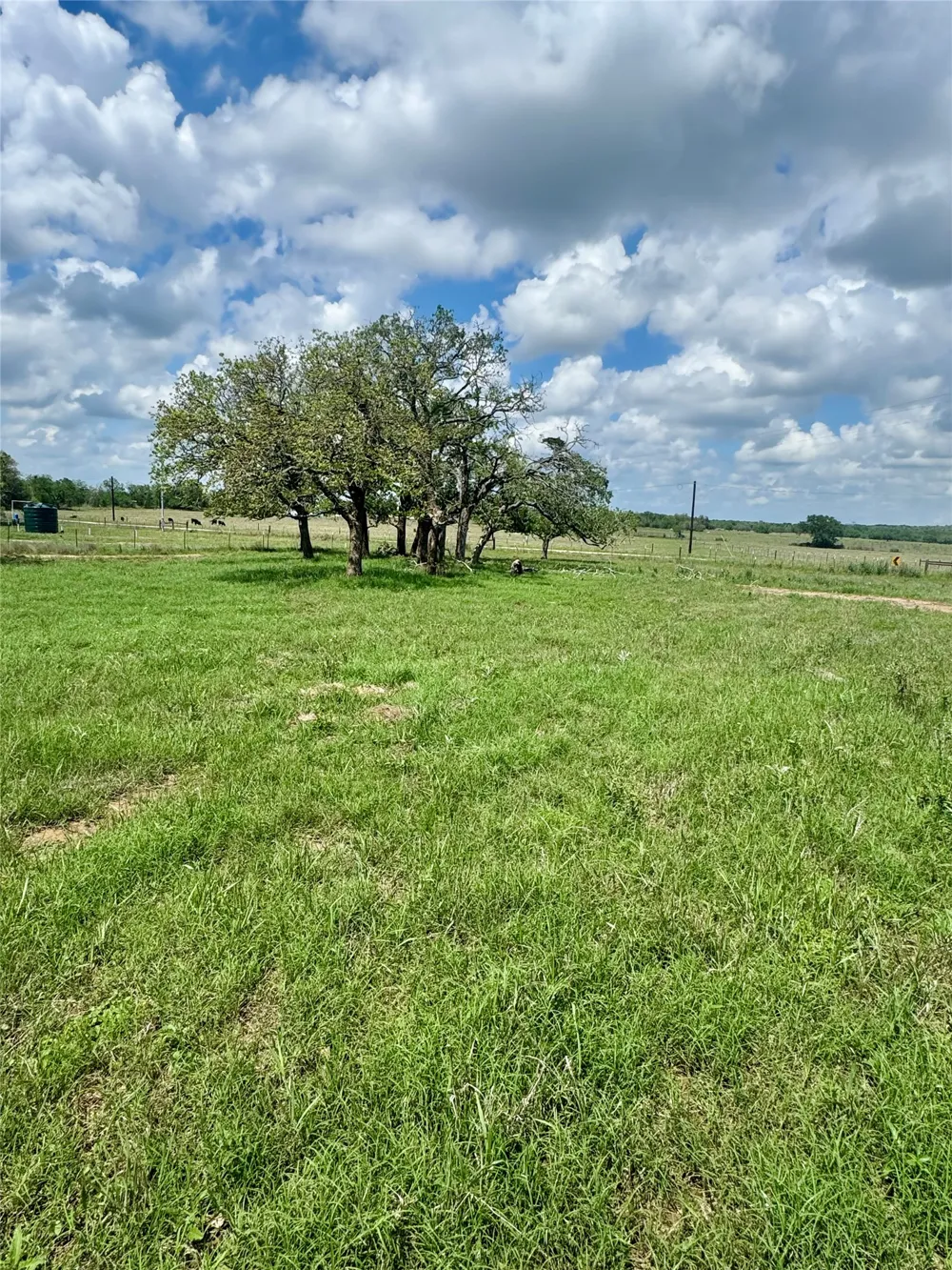 10 Cardinal Road Rosanky, TX 78953