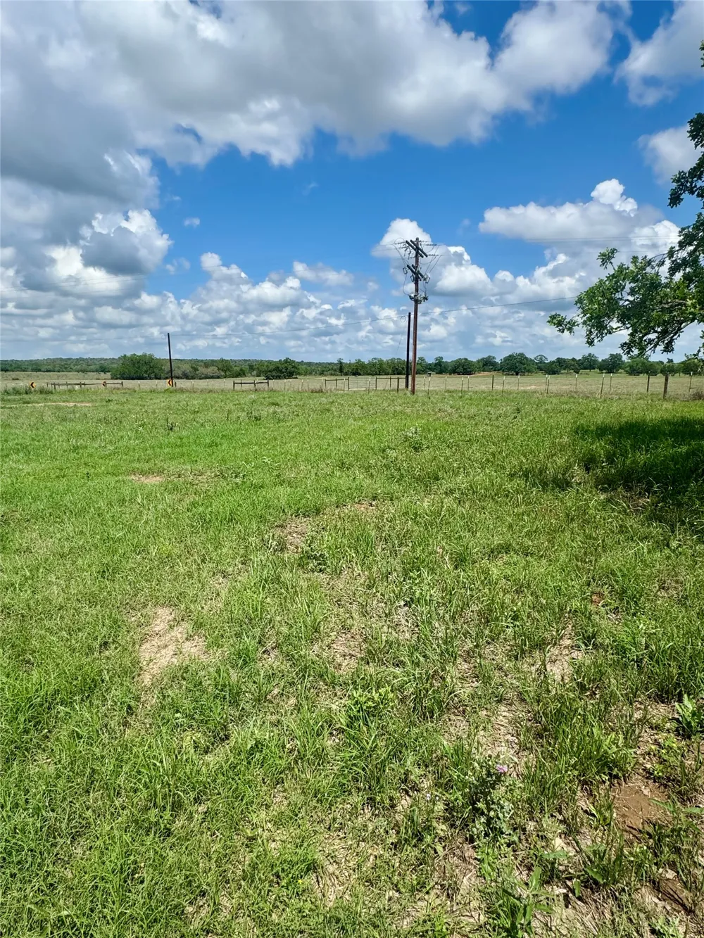 10 Cardinal Road Rosanky, TX 78953