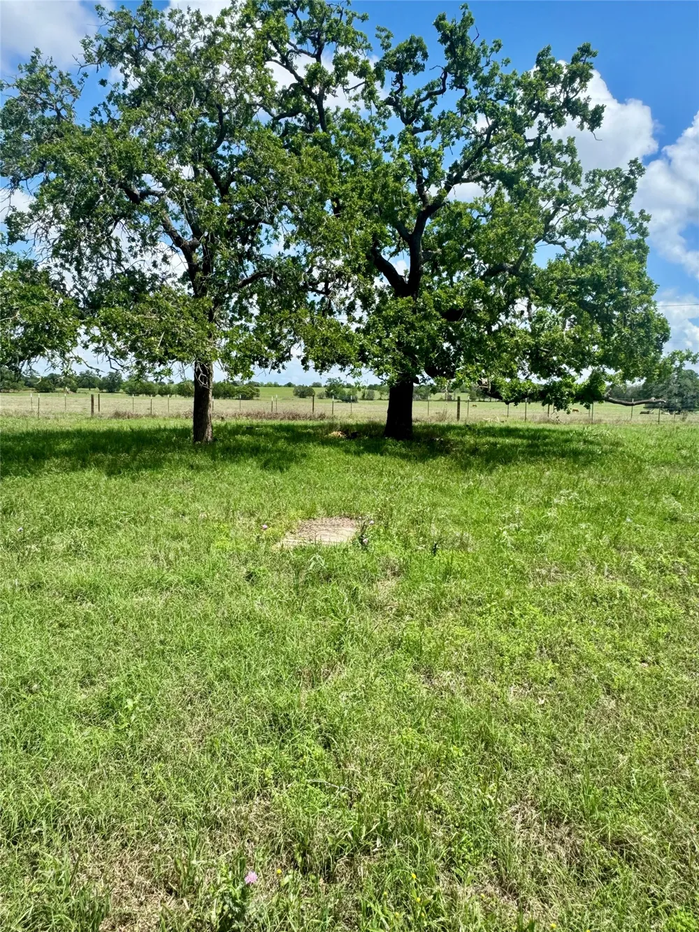 10 Cardinal Road Rosanky, TX 78953