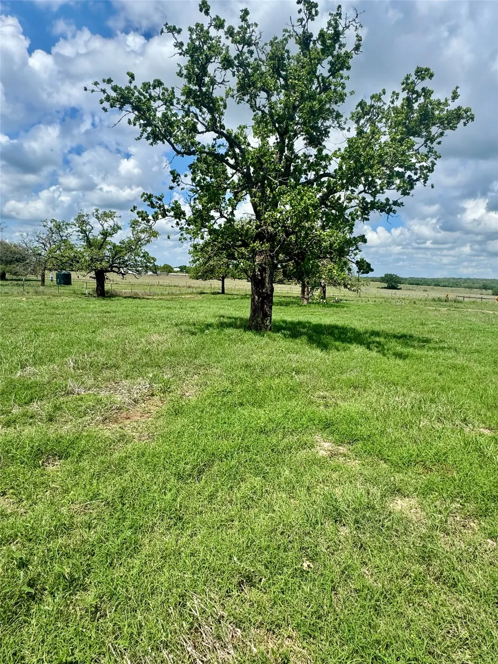 10 Cardinal Road Rosanky, TX 78953
