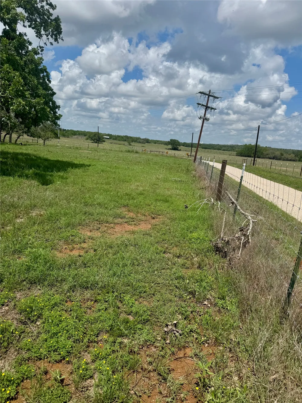 10 Cardinal Road Rosanky, TX 78953