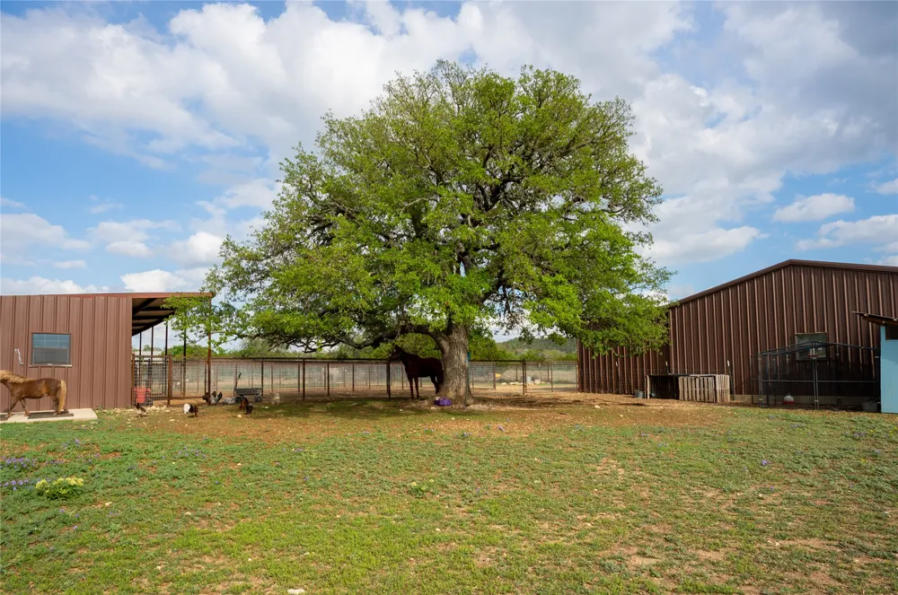 294 Hidden Creek Drive Dripping Springs, TX 78620