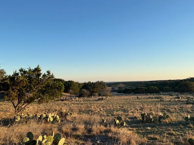 156 Hilandale Drive Kempner, TX 76539
