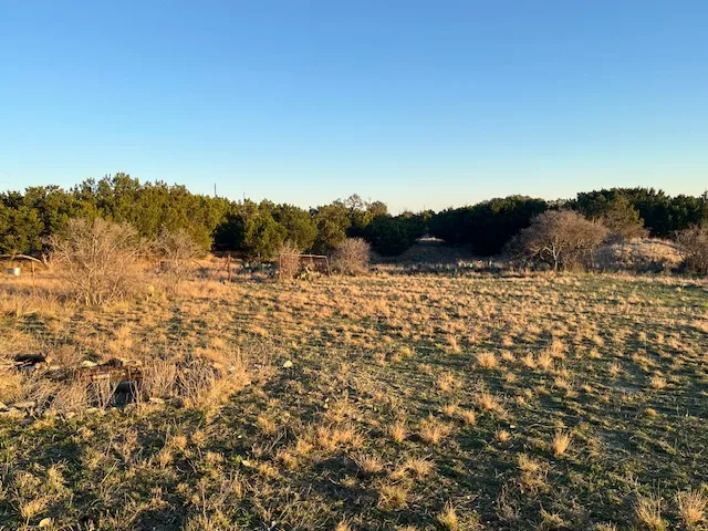 156 Hilandale Drive Kempner, TX 76539