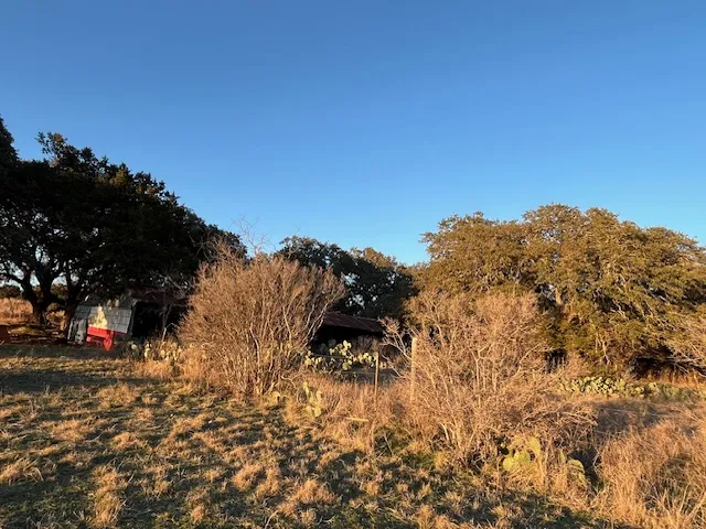 156 Hilandale Drive Kempner, TX 76539