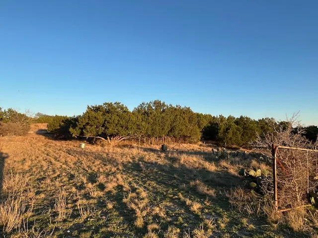 156 Hilandale Drive Kempner, TX 76539