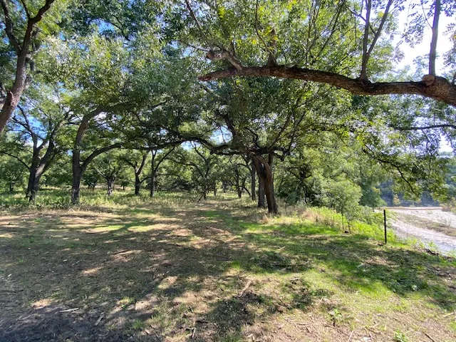 156 Hilandale Drive Kempner, TX 76539