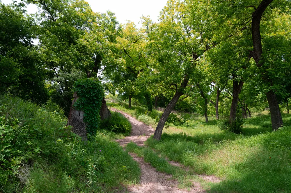 156 Hilandale Drive Kempner, TX 76539