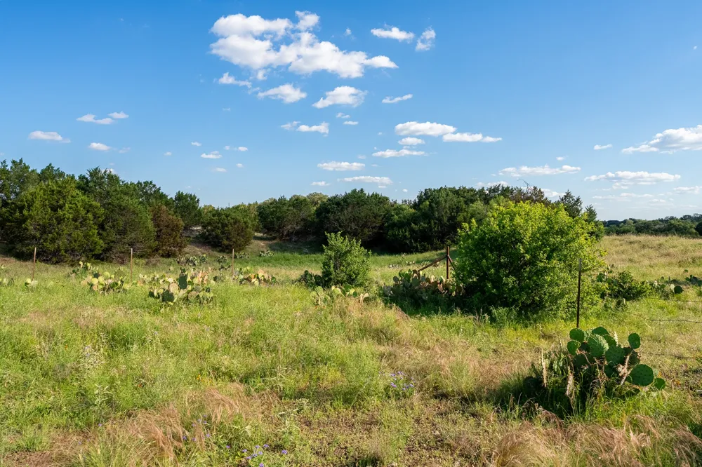 156 Hilandale Drive Kempner, TX 76539