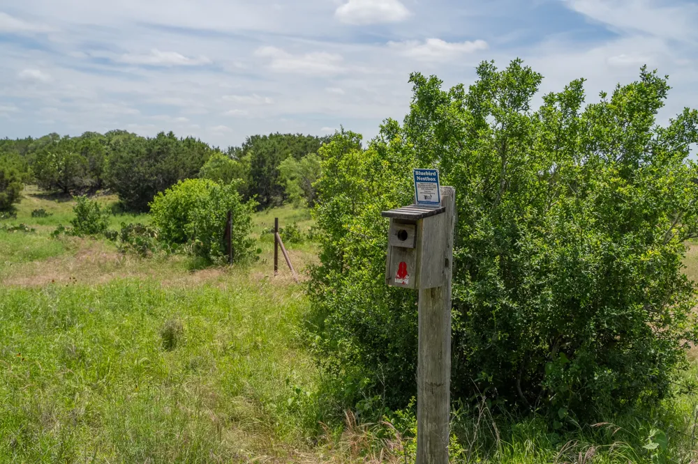 156 Hilandale Drive Kempner, TX 76539