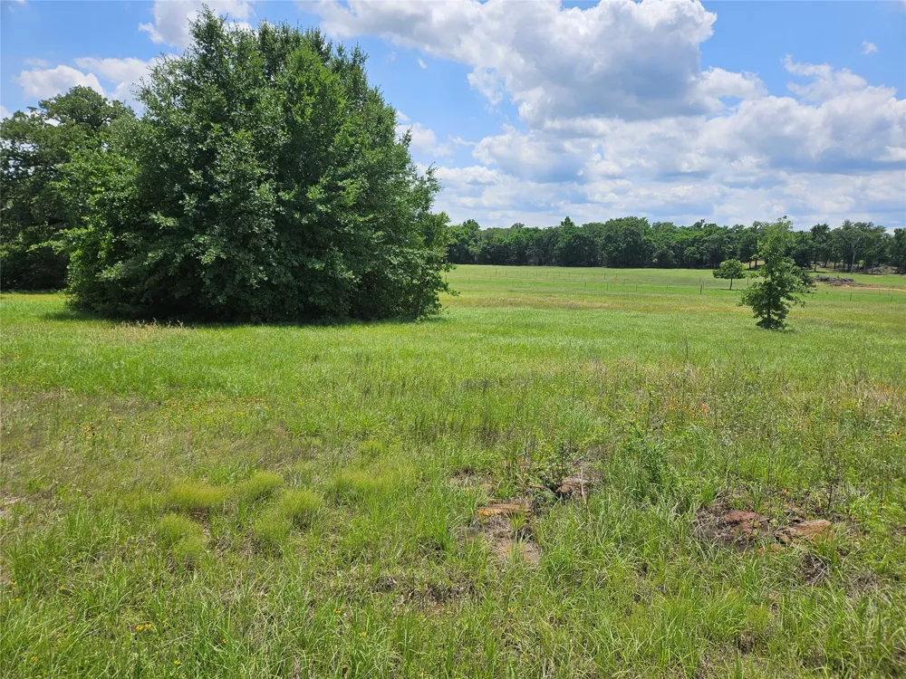 CR 346 ROAD Milano, TX 76556
