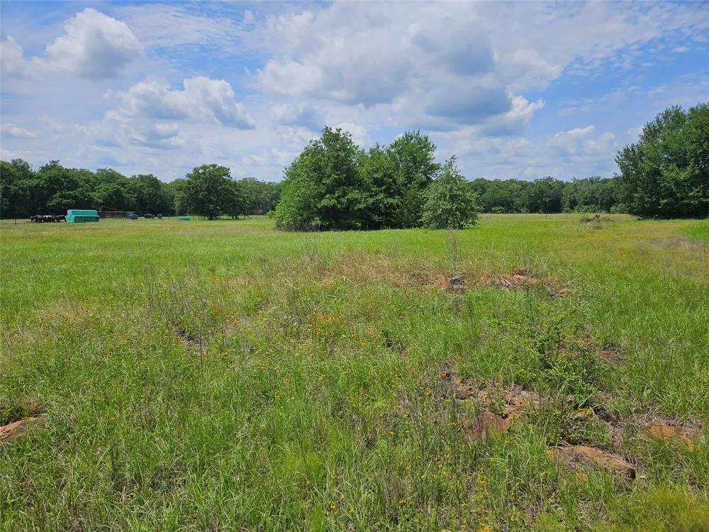CR 346 ROAD Milano, TX 76556
