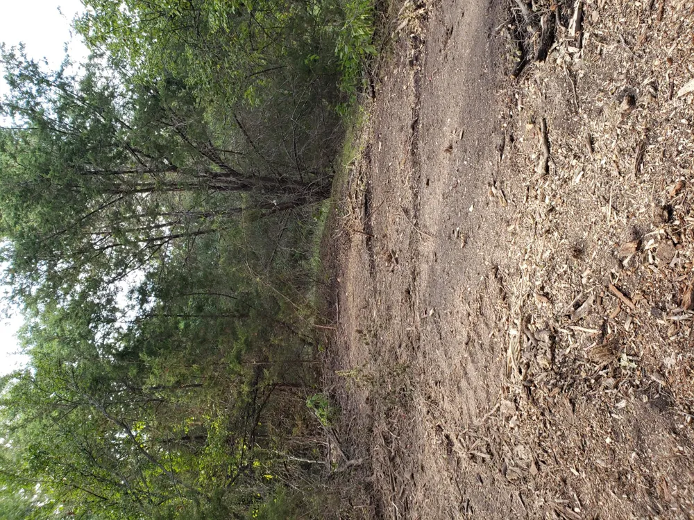 44 County Road 3640 Lampasas, TX 76522