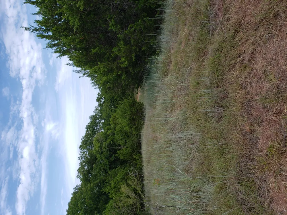 44 County Road 3640 Lampasas, TX 76522