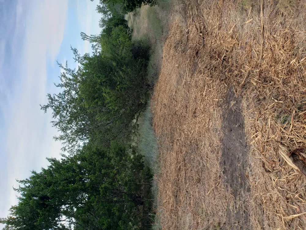 44 County Road 3640 Lampasas, TX 76522