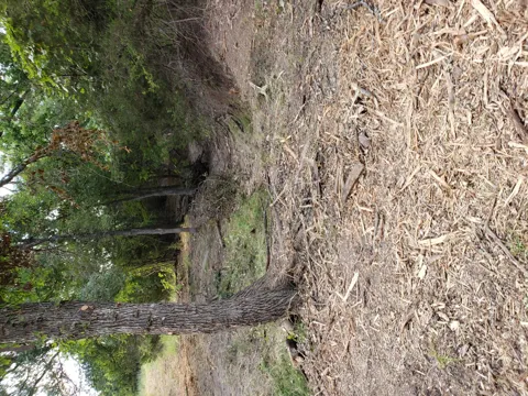 44 County Road 3640