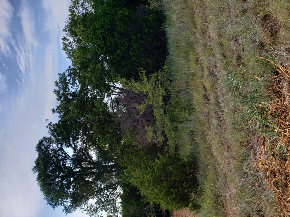 44 County Road 3640 Lampasas, TX 76522