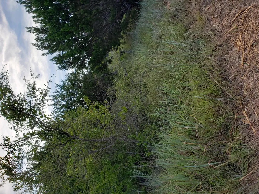 44 County Road 3640 Lampasas, TX 76522