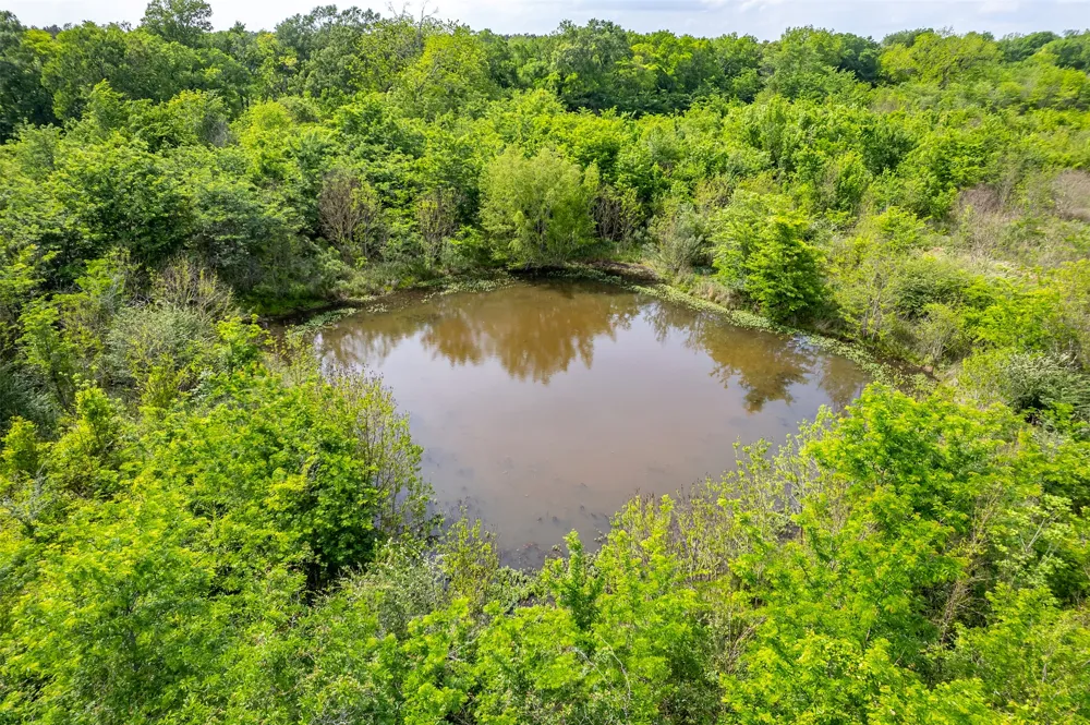 398 FM 1911 S Alto, TX 75925