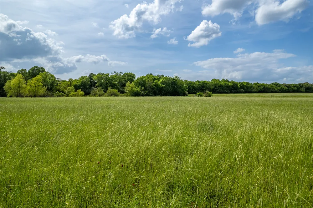 398 FM 1911 S Alto, TX 75925