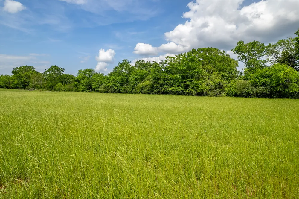 398 FM 1911 S Alto, TX 75925