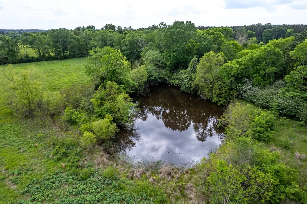 398 FM 1911 S Alto, TX 75925