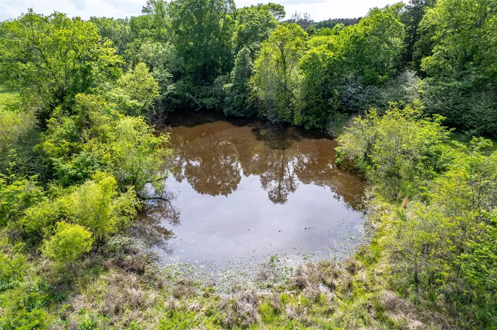 398 FM 1911 S Alto, TX 75925