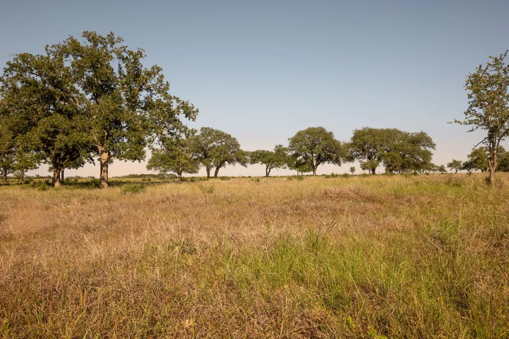 365 Gipson Rd Johnson City, TX 78636