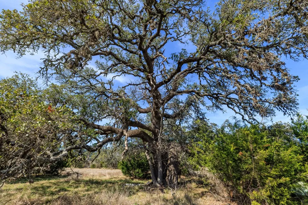 203 Rheingold School Road Fredericksburg, TX 78624