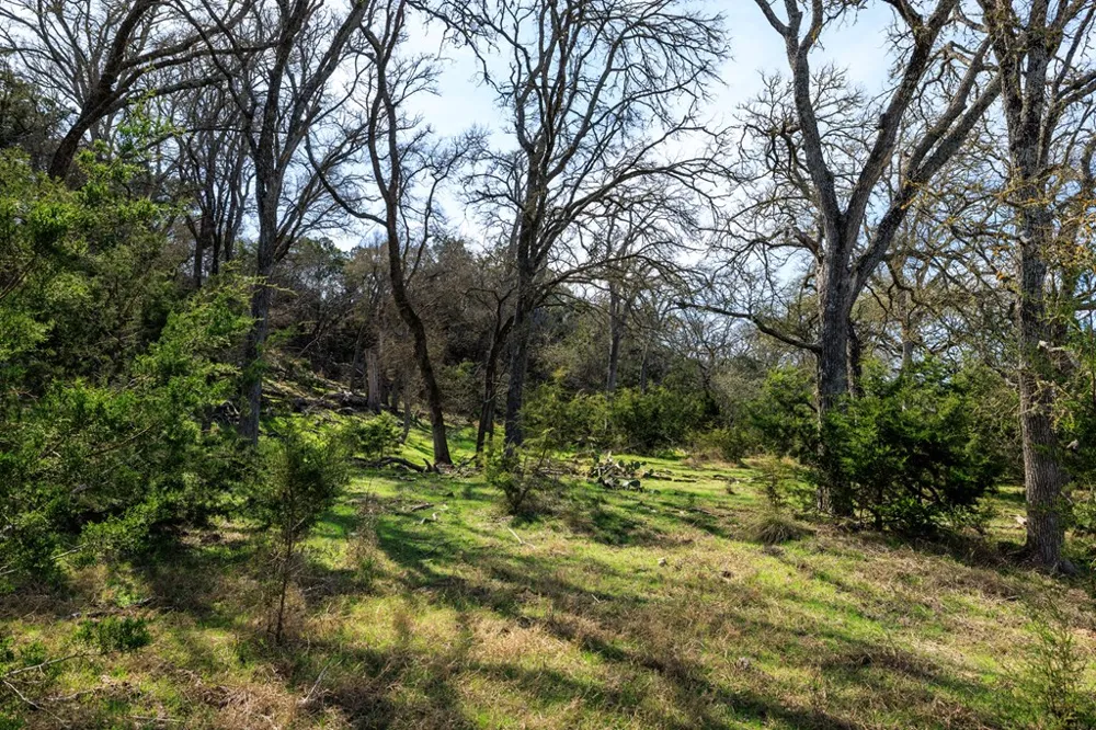 203 Rheingold School Road Fredericksburg, TX 78624