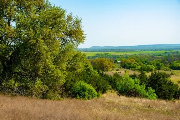 203 Rheingold School Road Fredericksburg, TX 78624