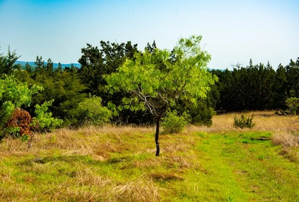203 Rheingold School Road Fredericksburg, TX 78624