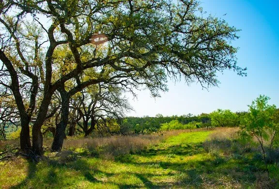 203 Rheingold School Road Fredericksburg, TX 78624