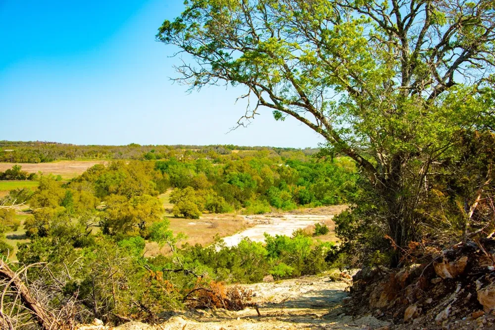 203 Rheingold School Road Fredericksburg, TX 78624