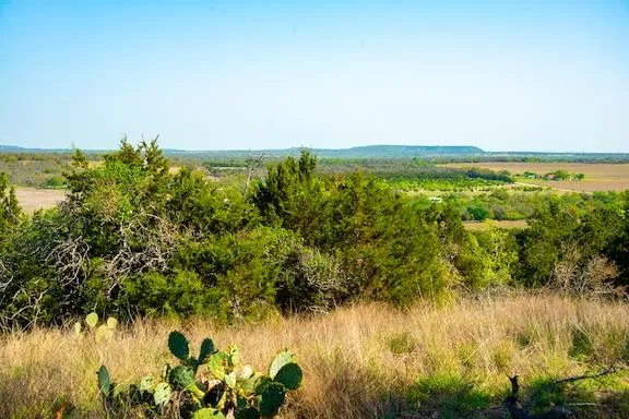 203 Rheingold School Road Fredericksburg, TX 78624