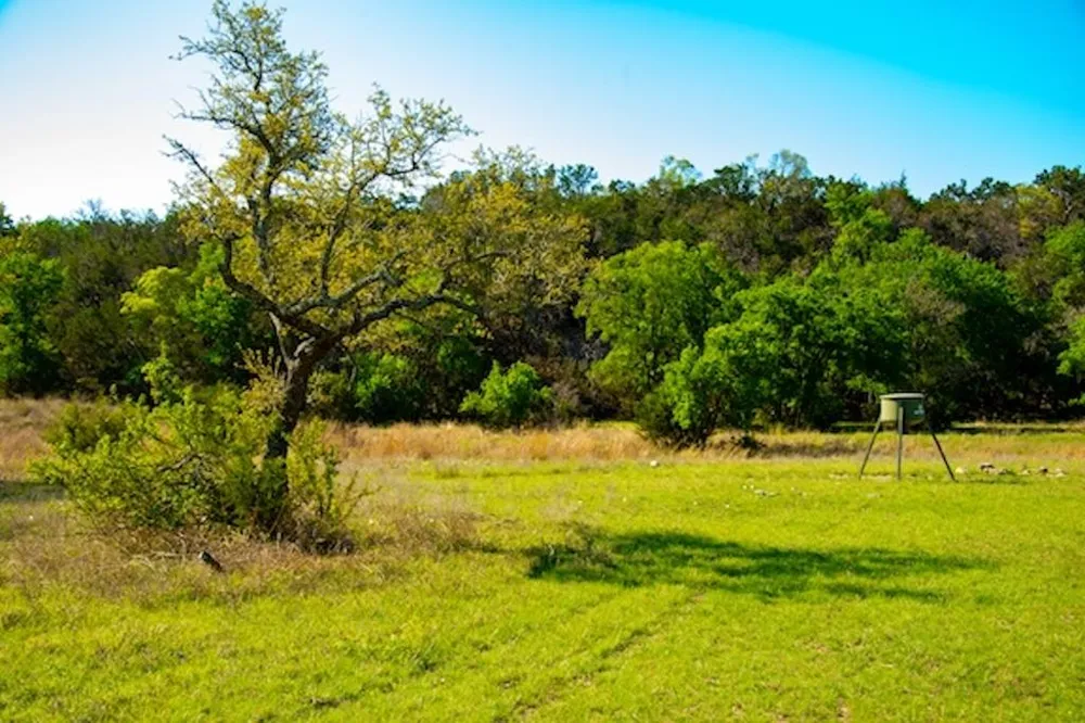 203 Rheingold School Road Fredericksburg, TX 78624