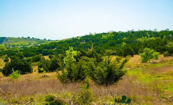 203 Rheingold School Road Fredericksburg, TX 78624