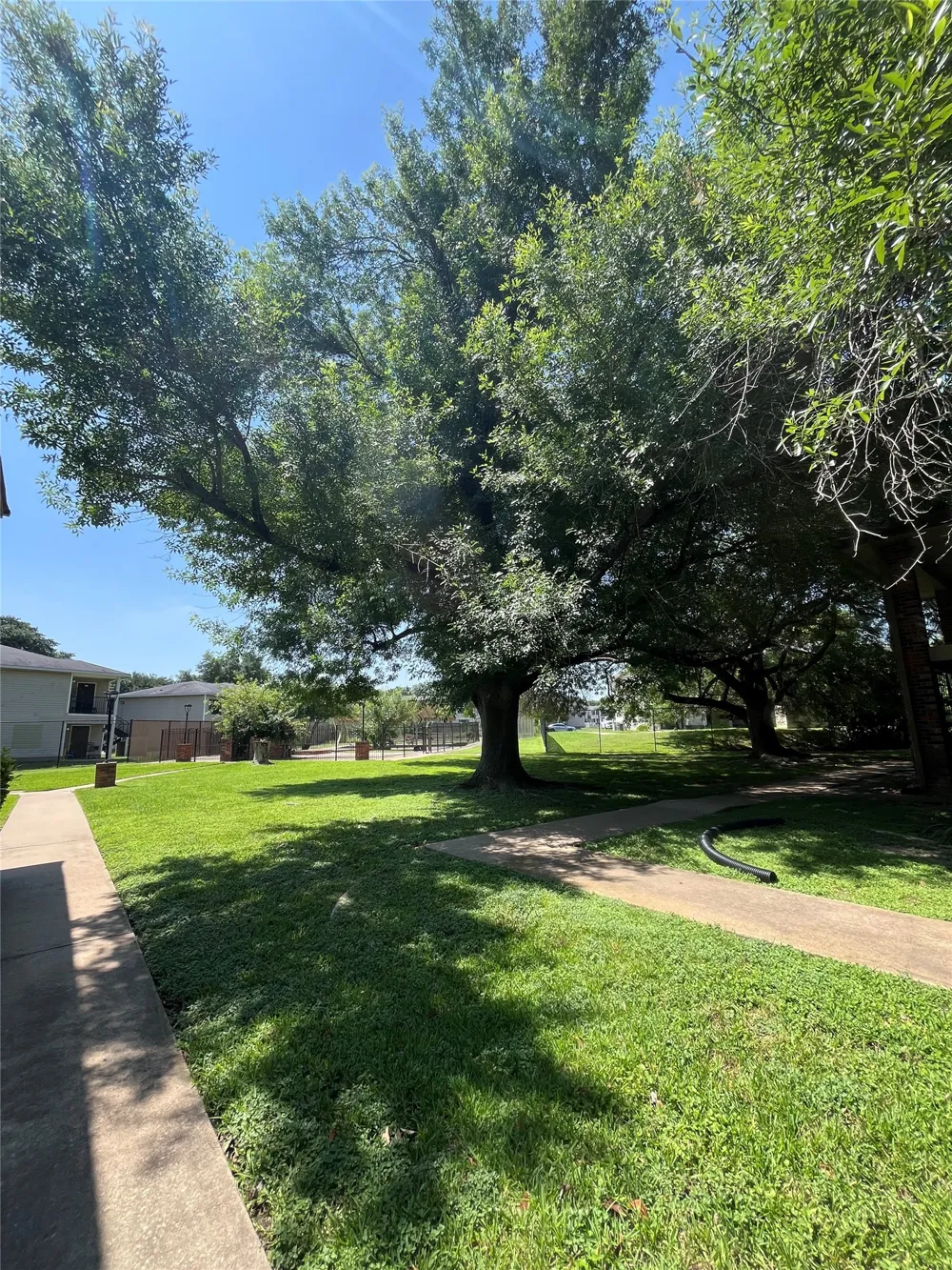 1705 Crossing Place #131 Austin, TX 78741