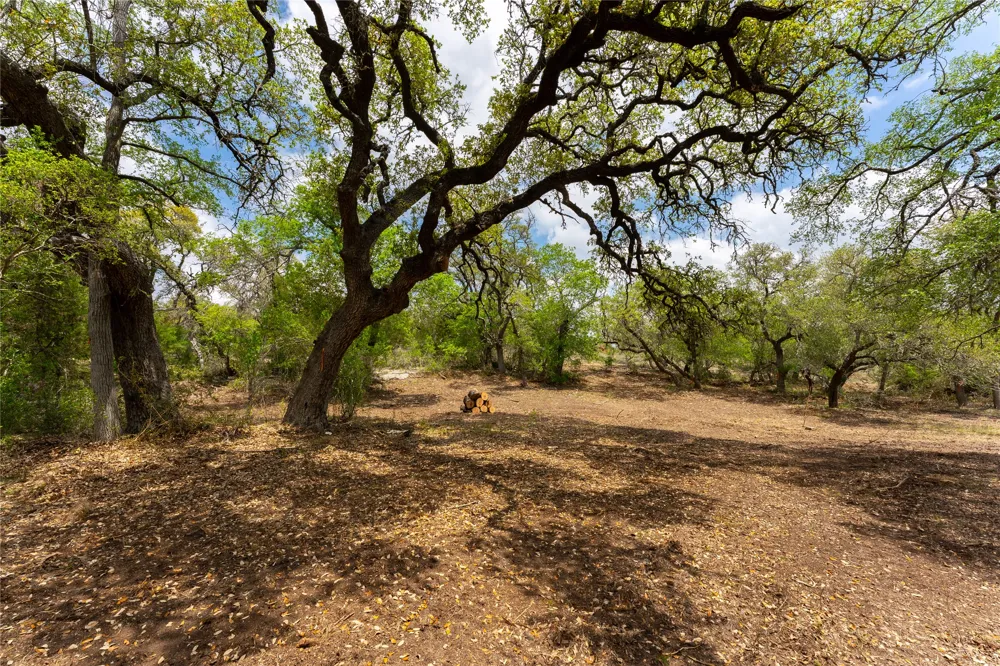 523 Dario Drive Dripping Springs, TX 78620