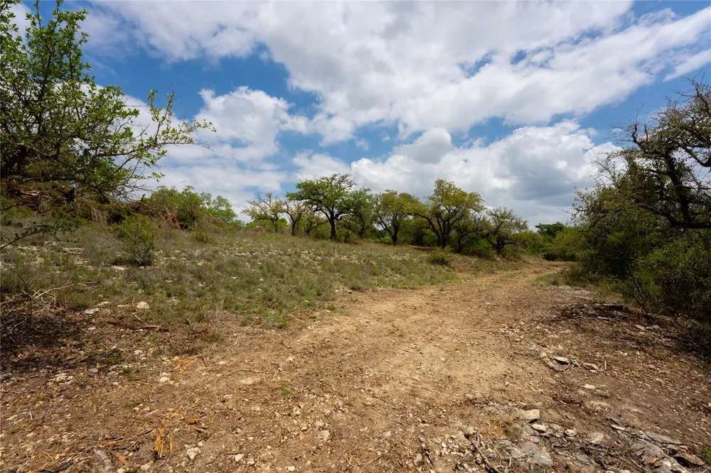523 Dario Drive Dripping Springs, TX 78620
