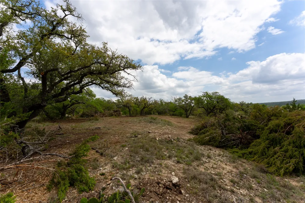 523 Dario Drive Dripping Springs, TX 78620