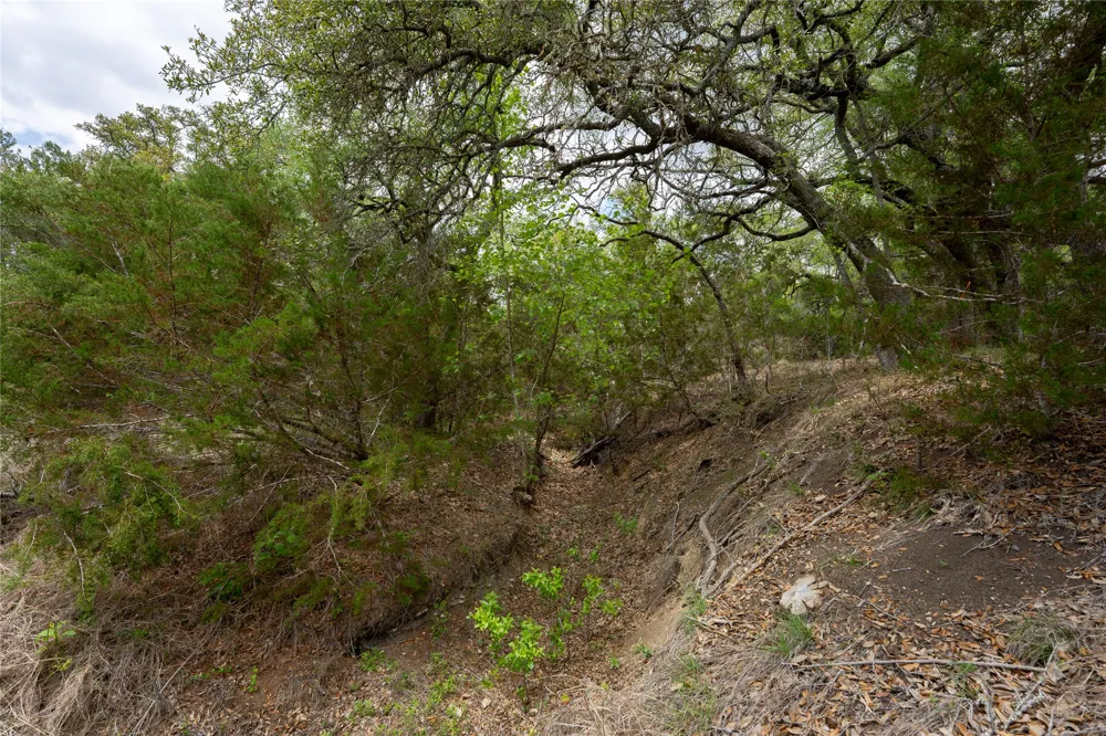 523 Dario Drive Dripping Springs, TX 78620