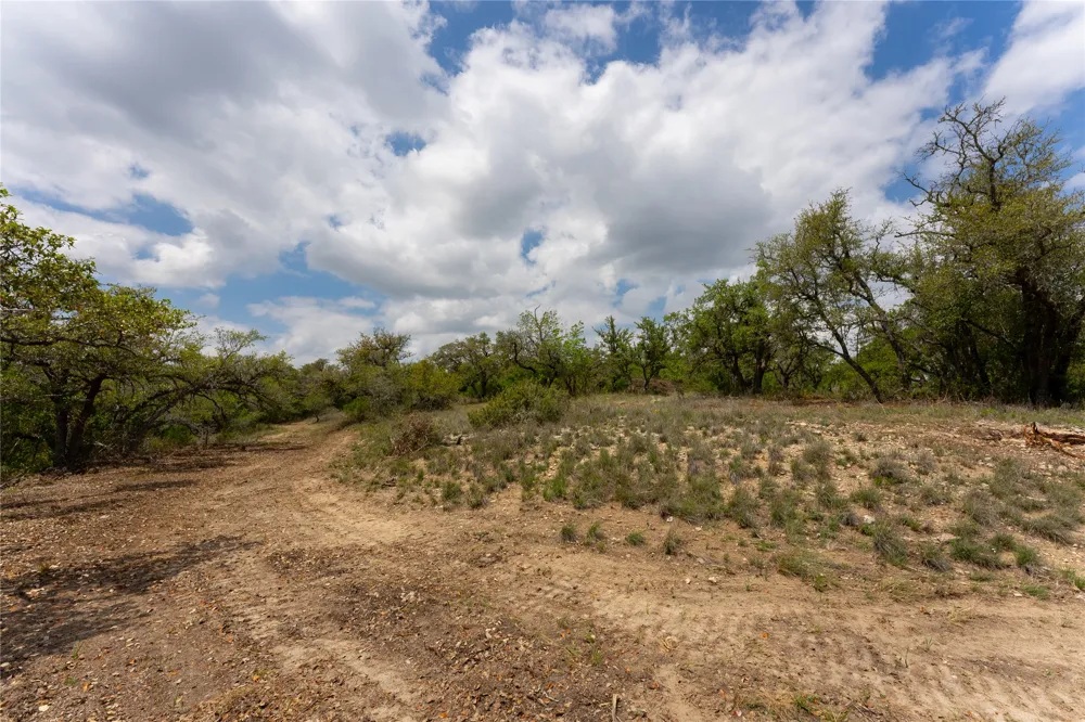 523 Dario Drive Dripping Springs, TX 78620
