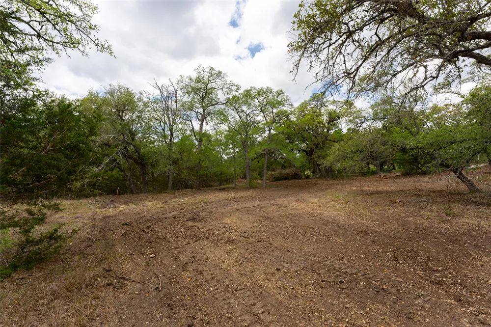 523 Dario Drive Dripping Springs, TX 78620