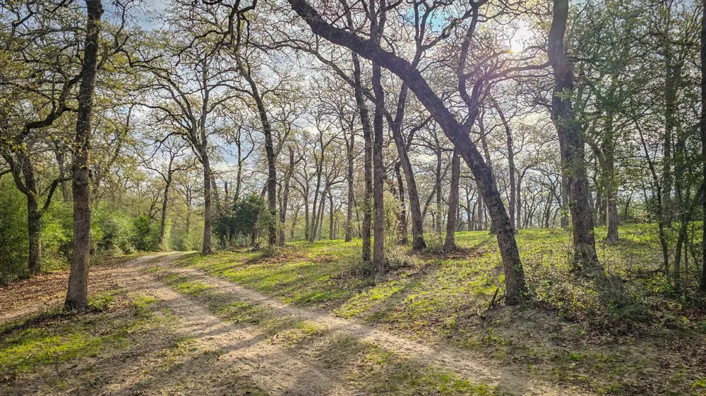 County Road 412 Lexington, TX 78947